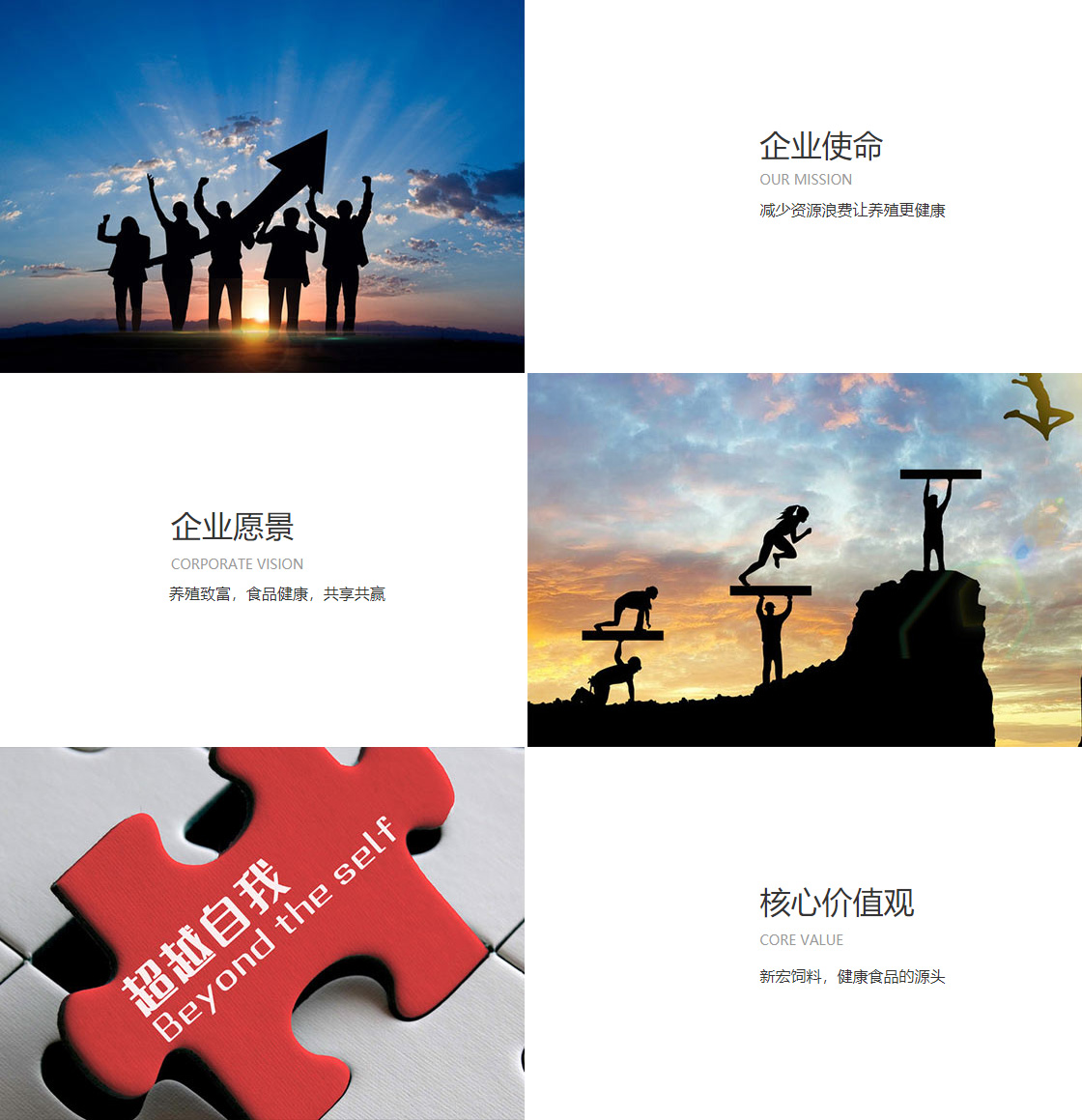 九游app官网下载(图1)